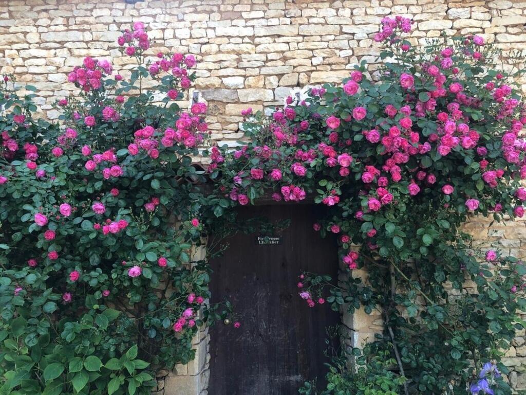 Blacksmiths Cottage In Blanzay - 3 Beds ภายนอก รูปภาพ